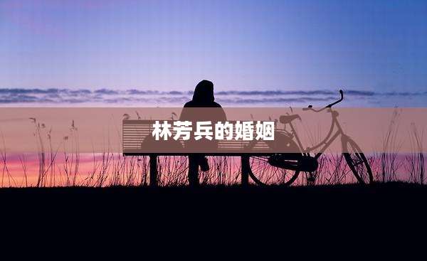 林芳兵的婚姻