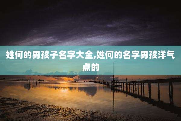 姓何的男孩子名字大全,姓何的名字男孩洋气点的