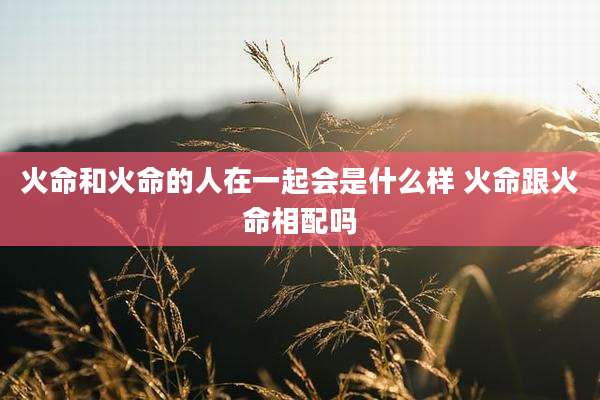 火命和火命的人在一起会是什么样 火命跟火命相配吗