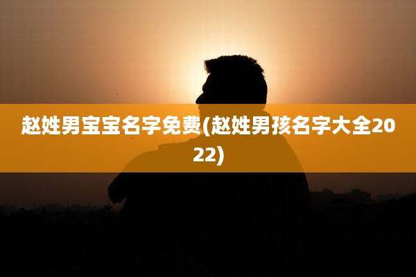 赵姓男宝宝名字免费(赵姓男孩名字大全2022)