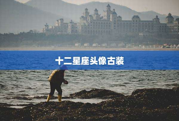十二星座头像古装
