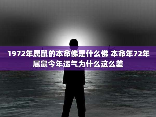 1972年属鼠的本命佛是什么佛 本命年72年属鼠今年运气为什么这么差