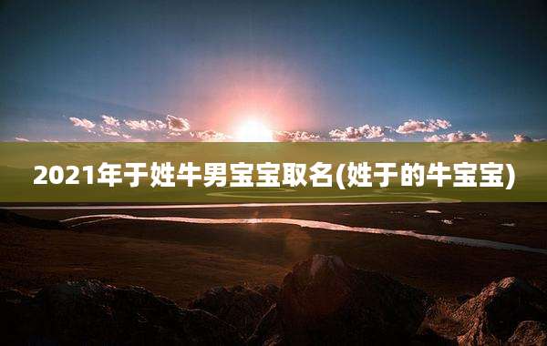 2021年于姓牛男宝宝取名(姓于的牛宝宝)