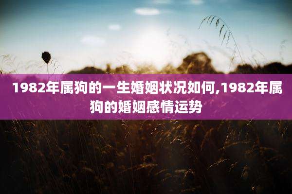 1982年属狗的一生婚姻状况如何,1982年属狗的婚姻感情运势