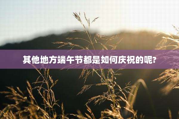 其他地方端午节都是如何庆祝的呢?
