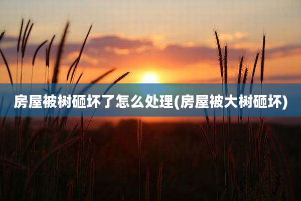 房屋被树砸坏了怎么处理(房屋被大树砸坏)