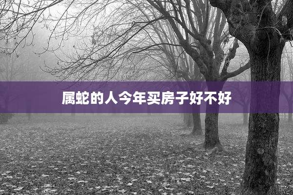 属蛇的人今年买房子好不好