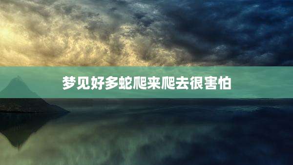 梦见好多蛇爬来爬去很害怕