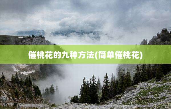 催桃花的九种方法(简单催桃花)