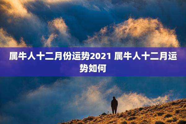 属牛人十二月份运势2021 属牛人十二月运势如何
