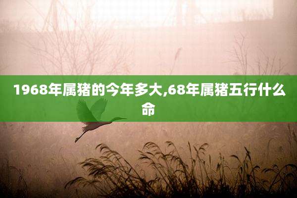 1968年属猪的今年多大,68年属猪五行什么命
