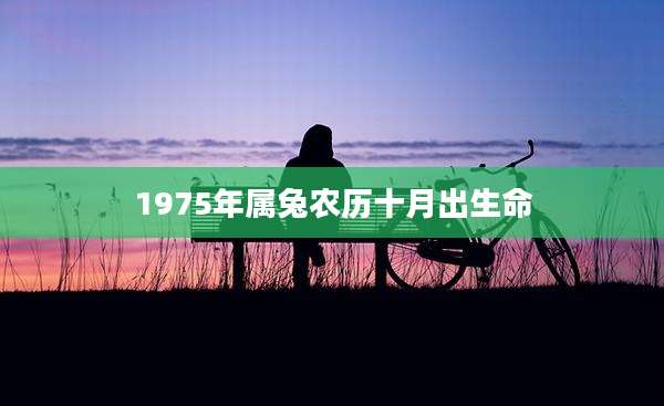 1975年属兔农历十月出生命