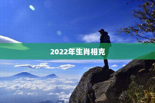 2022年生肖相克