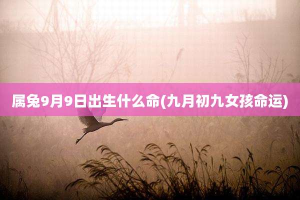 属兔9月9日出生什么命(九月初九女孩命运)