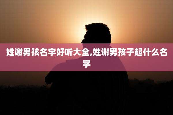 姓谢男孩名字好听大全,姓谢男孩子起什么名字