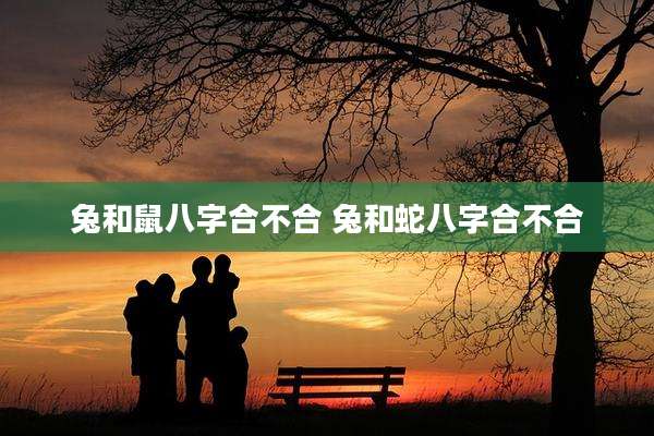 兔和鼠八字合不合 兔和蛇八字合不合