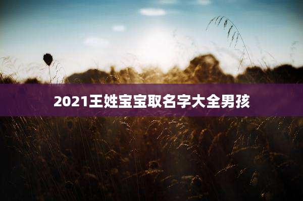 2021王姓宝宝取名字大全男孩