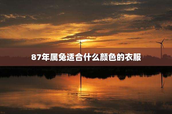 87年属兔适合什么颜色的衣服
