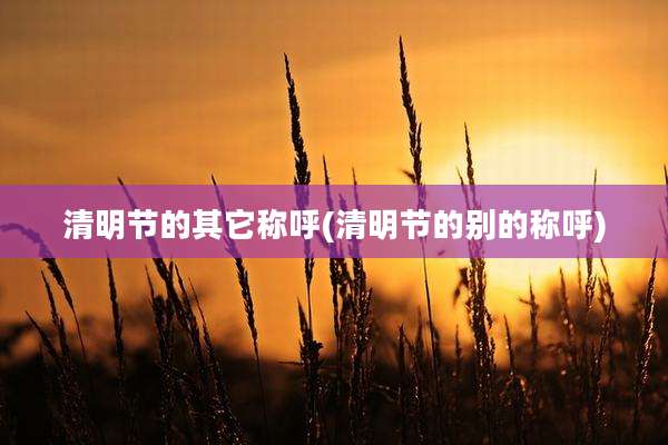 清明节的其它称呼(清明节的别的称呼)