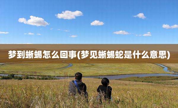 梦到蜥蜴怎么回事(梦见蜥蜴蛇是什么意思)