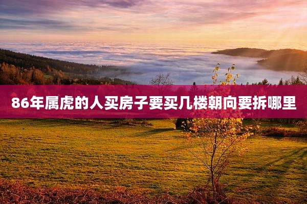 86年属虎的人买房子要买几楼朝向要拆哪里