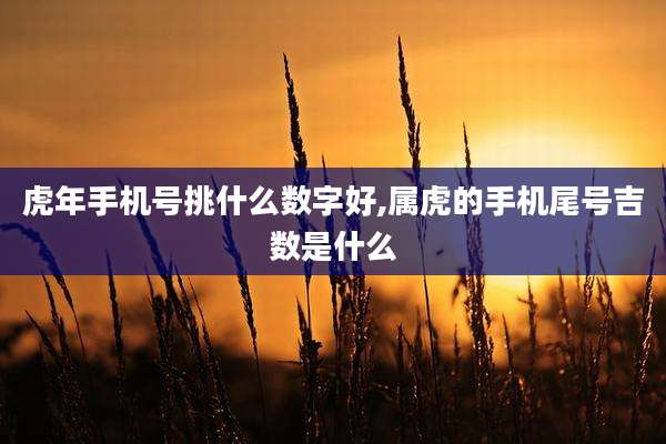 虎年手机号挑什么数字好,属虎的手机尾号吉数是什么