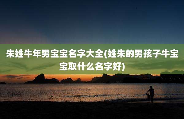 朱姓牛年男宝宝名字大全(姓朱的男孩子牛宝宝取什么名字好)