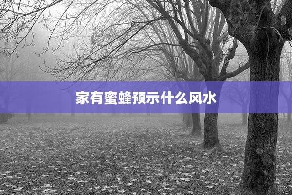 家有蜜蜂预示什么风水