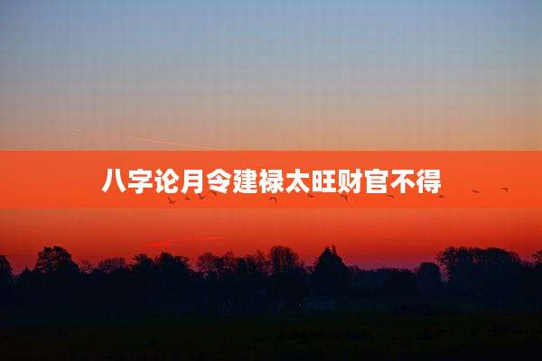 八字论月令建禄太旺财官不得