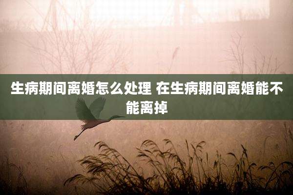 生病期间离婚怎么处理 在生病期间离婚能不能离掉