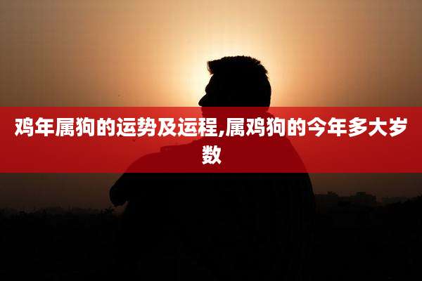 鸡年属狗的运势及运程,属鸡狗的今年多大岁数