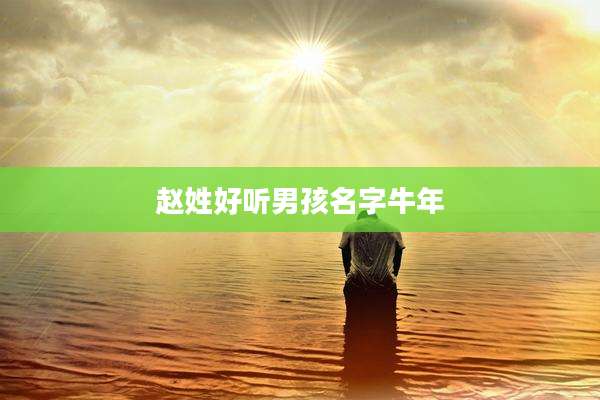 赵姓好听男孩名字牛年