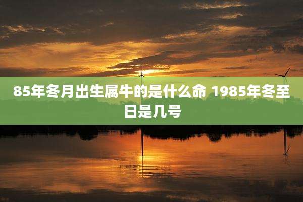 85年冬月出生属牛的是什么命 1985年冬至日是几号