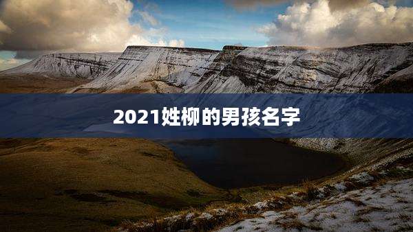 2021姓柳的男孩名字