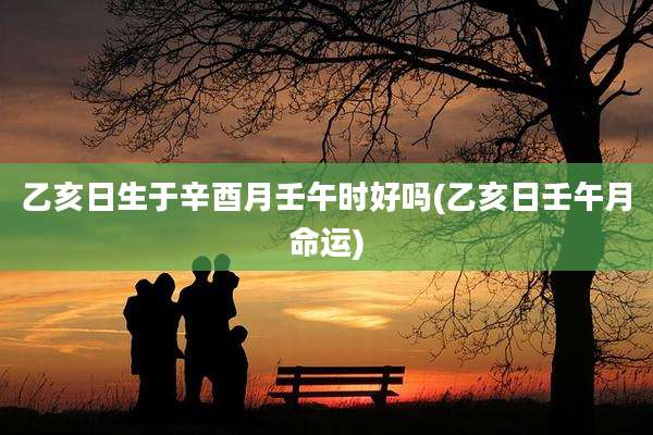 乙亥日生于辛酉月壬午时好吗(乙亥日壬午月命运)