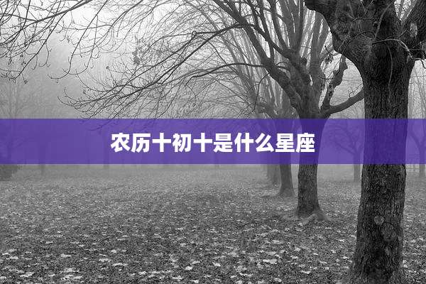 农历十初十是什么星座