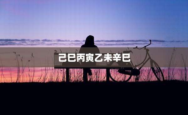 己巳丙寅乙未辛巳