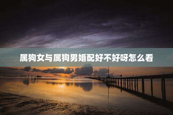 属狗女与属狗男婚配好不好呀怎么看