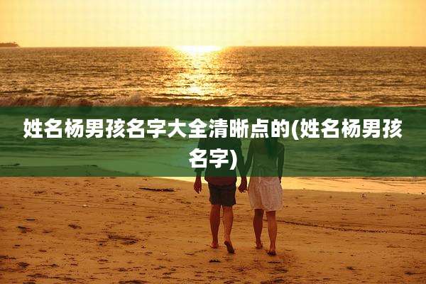 姓名杨男孩名字大全清晰点的(姓名杨男孩名字)