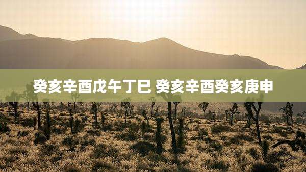 癸亥辛酉戊午丁巳 癸亥辛酉癸亥庚申