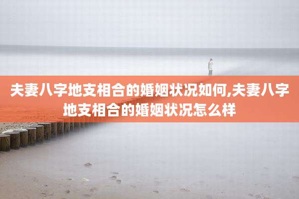 夫妻八字地支相合的婚姻状况如何,夫妻八字地支相合的婚姻状况怎么样