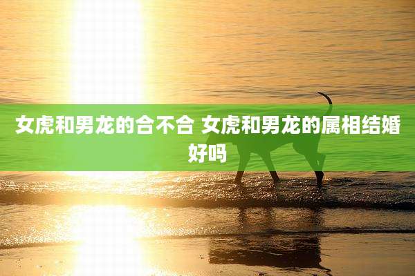 女虎和男龙的合不合 女虎和男龙的属相结婚好吗