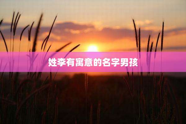 姓李有寓意的名字男孩