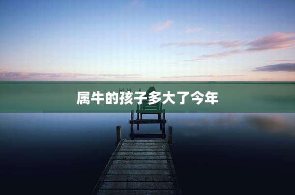 属牛的孩子多大了今年