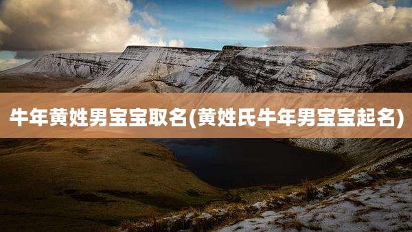 牛年黄姓男宝宝取名(黄姓氏牛年男宝宝起名)