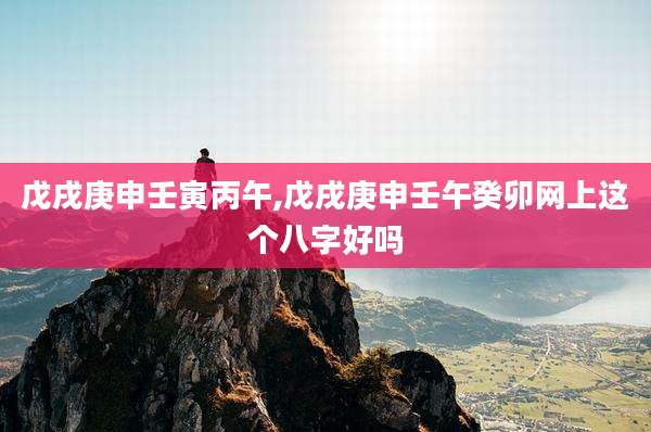 戊戌庚申壬寅丙午,戊戌庚申壬午癸卯网上这个八字好吗