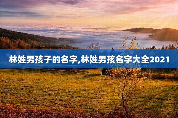林姓男孩子的名字,林姓男孩名字大全2021