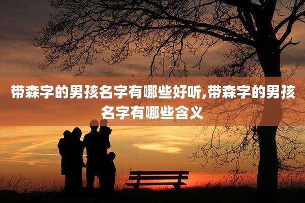 带森字的男孩名字有哪些好听,带森字的男孩名字有哪些含义