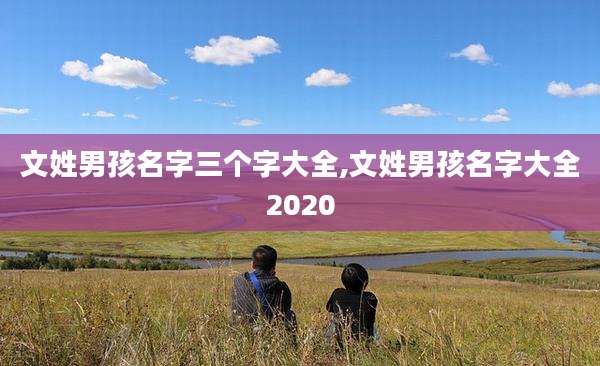 文姓男孩名字三个字大全,文姓男孩名字大全2020