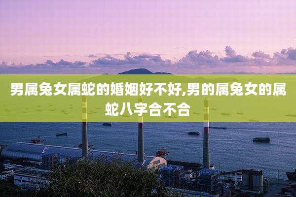 男属兔女属蛇的婚姻好不好,男的属兔女的属蛇八字合不合